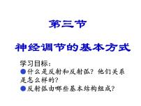 人教版 (新课标)七年级下册第三节 神经调节的基本方式教案配套课件ppt