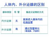 2022年人教版七年级生物下册第4单元第6章第4节激素调节课件 (2)