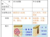 2022年北师大版七年级生物下册第12章第3节激素调节课件 (3)