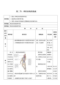 生物第二节 神经系统的组成教案设计