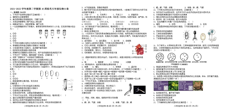 广东省茂名市高州校际联盟2021-2022学年八年级下学期期中生物试题（B卷）(word版含答案)第1页