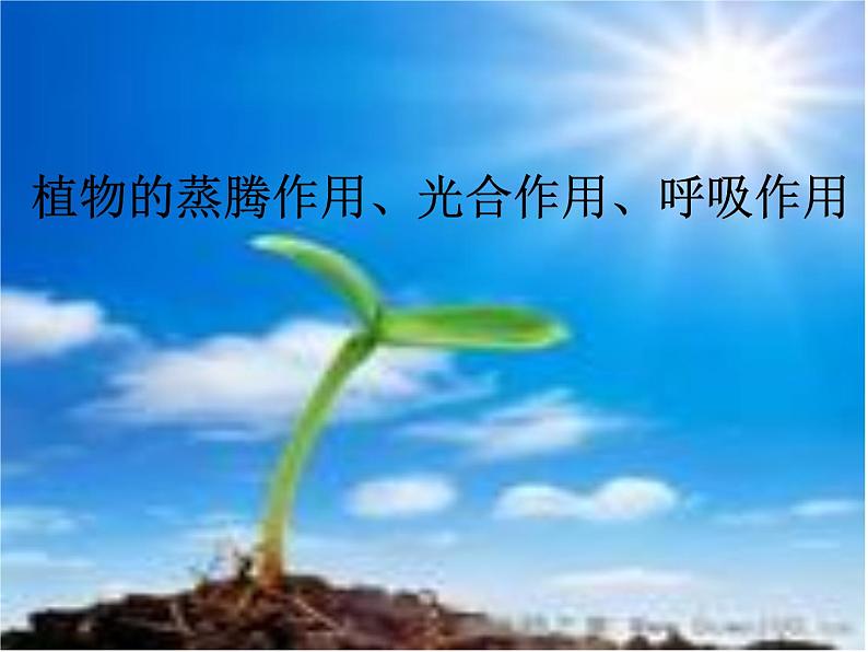 2022年中考生物：绿色植物的三大作用专题复习课件PPT第1页