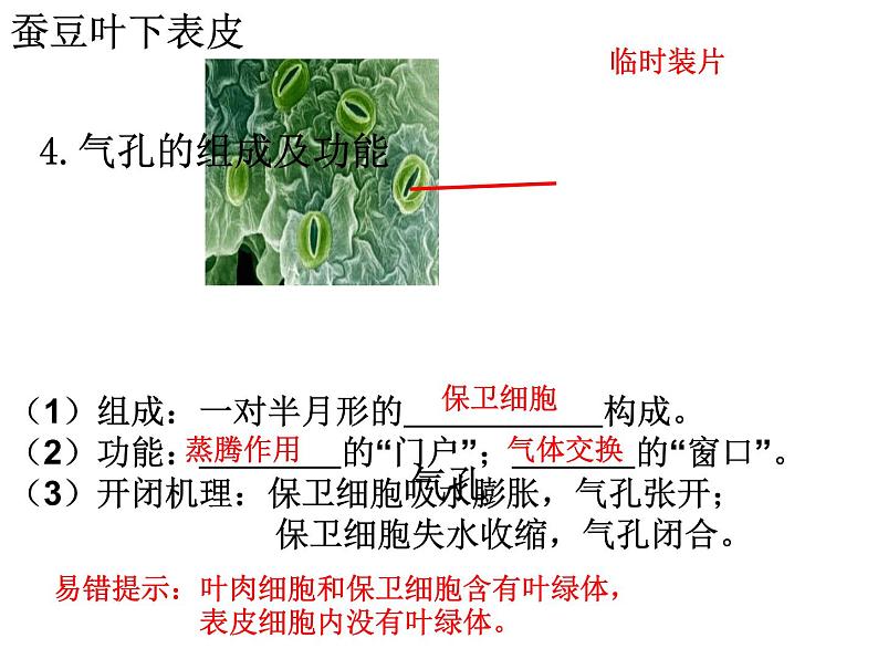 2022年中考生物：绿色植物的三大作用专题复习课件PPT第7页