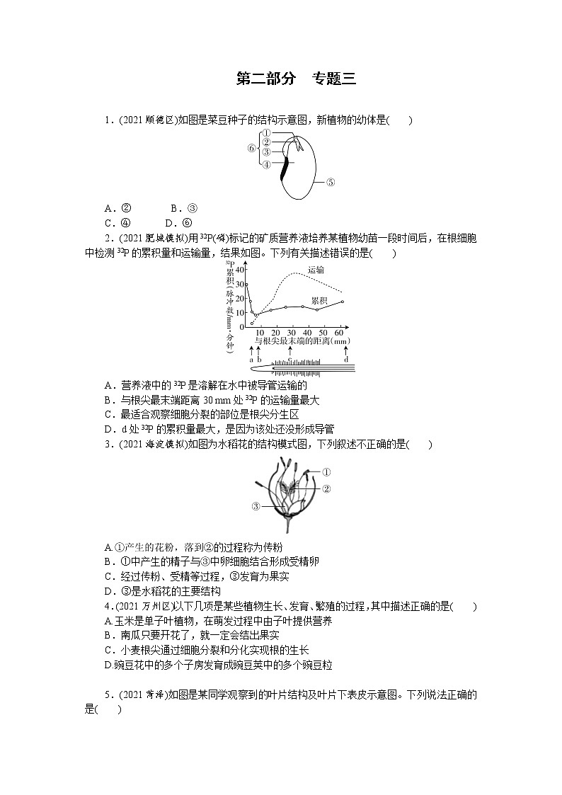 2022年中考生物专题复习练习：专题三　生物圈中的绿色植物第1页