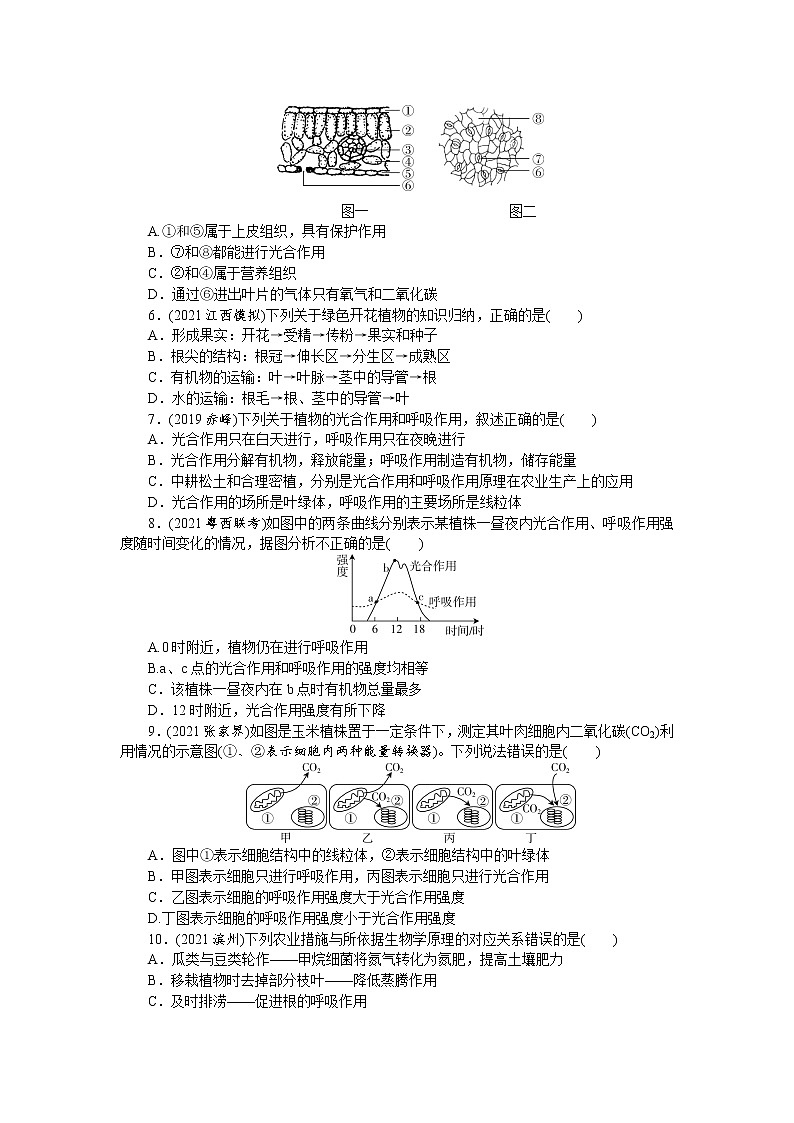 2022年中考生物专题复习练习：专题三　生物圈中的绿色植物第2页