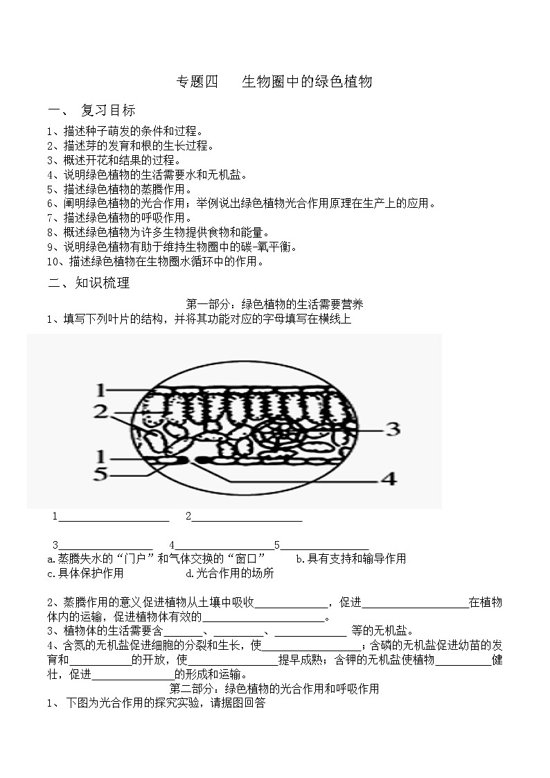 中考复习：专题四-生物圈中的绿色植物-导学案01
