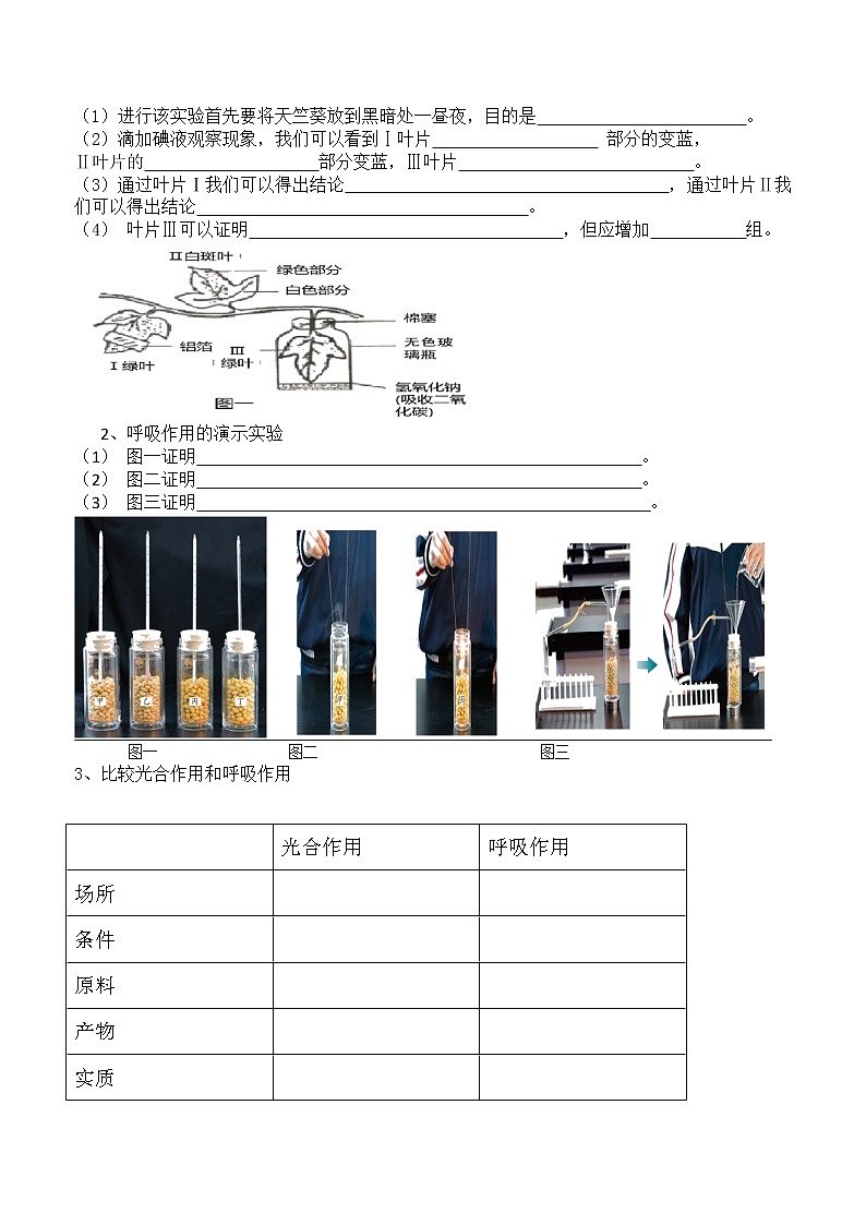 中考复习：专题四-生物圈中的绿色植物-导学案02
