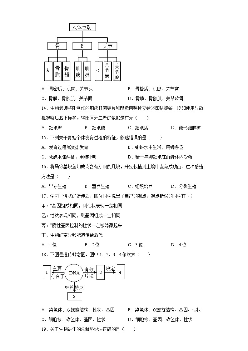 广东省佛山市顺德区2021-2022学年八年级下学期4月会考生物试题(word版含答案)第3页