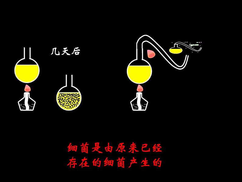 第二节细菌ppt06