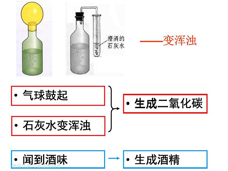 人类对细菌和真菌的利用课件PPT04