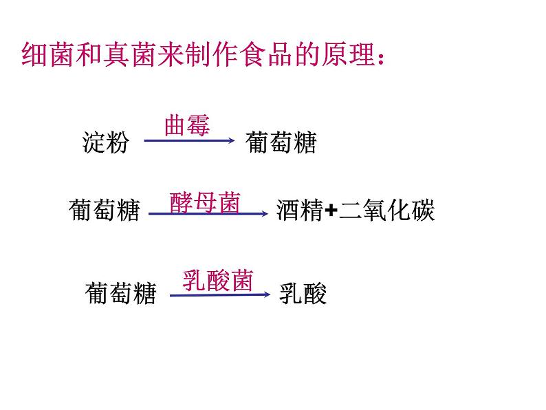 人类对细菌和真菌的利用课件PPT07