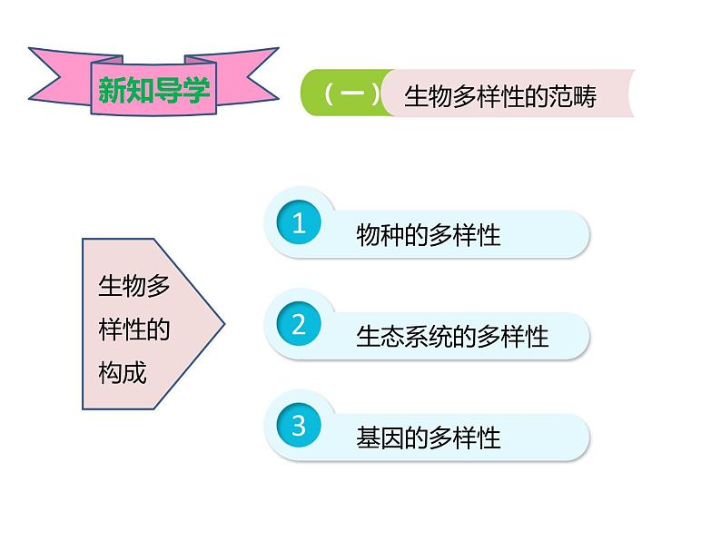 冀教版八年级下册生物  7.3.3保护生物多样性 课件04