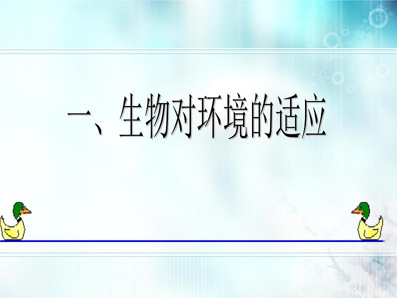 冀教版八年级下册生物  7.1.2生物对环境的适应和影响 课件第2页