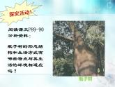 冀教版八年级下册生物  7.1.2生物对环境的适应和影响 课件