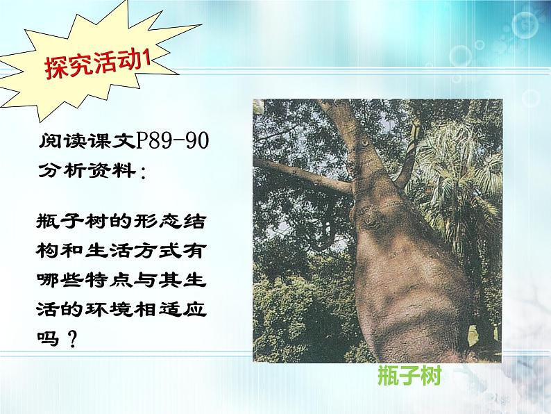 冀教版八年级下册生物  7.1.2生物对环境的适应和影响 课件第3页