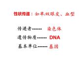 冀教版八年级下册生物  6.2.3遗传病与优生 课件