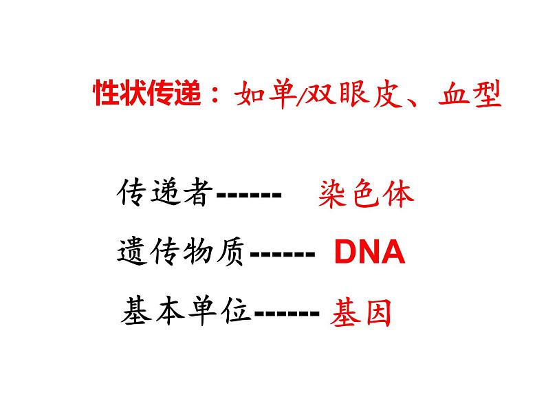 冀教版八年级下册生物  6.2.3遗传病与优生 课件03