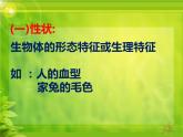 冀教版八年级下册生物  6.2.1遗传 课件