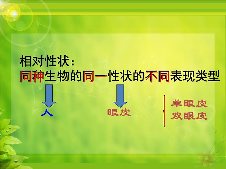 冀教版八年级下册生物  6.2.1遗传 课件05