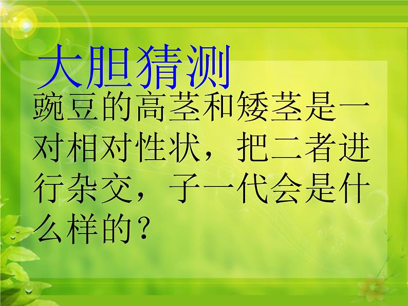 冀教版八年级下册生物  6.2.1遗传 课件07