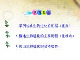 冀教版八年级下册生物  6.3.2生物的进化 课件