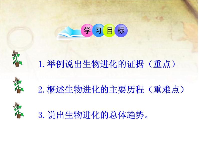 冀教版八年级下册生物  6.3.2生物的进化 课件第4页