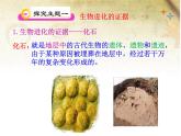 冀教版八年级下册生物  6.3.2生物的进化 课件