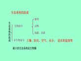 冀教版八年级下册生物  7.2.1生态系统的组成和类型 课件