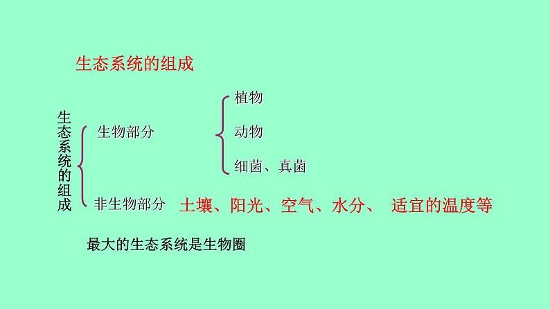 冀教版八年级下册生物  7.2.1生态系统的组成和类型 课件第3页