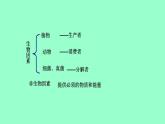 冀教版八年级下册生物  7.2.1生态系统的组成和类型 课件