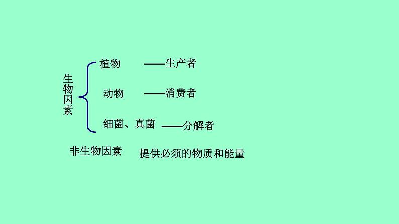 冀教版八年级下册生物  7.2.1生态系统的组成和类型 课件第4页