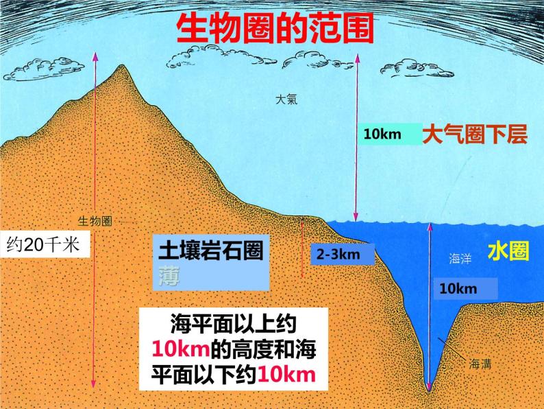 冀教版八年级下册生物  7.2.3生物圈 课件04