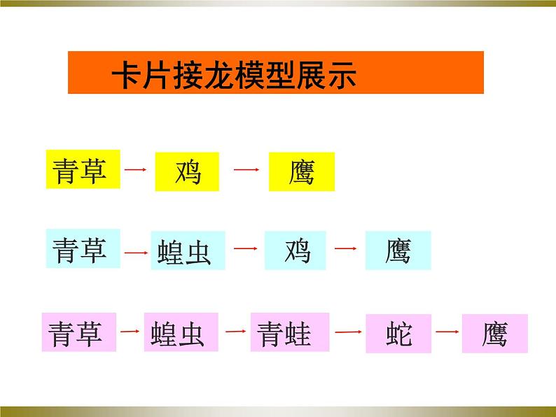 冀教版八年级下册生物  7.2.2食物链和食物网 课件08