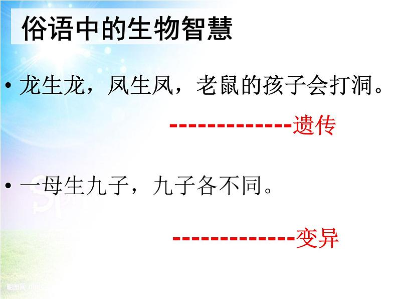 冀教版八年级下册生物  6.2.2变异 课件第1页