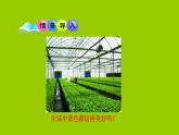 冀教版八年級下冊生物  7.3.4保護(hù)生態(tài)環(huán)境 課件