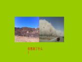 冀教版八年級下冊生物  7.3.4保護(hù)生態(tài)環(huán)境 課件