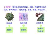 苏教版八年级下册生物  25.1传染病 课件