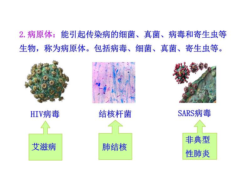 苏教版八年级下册生物  25.1传染病 课件04