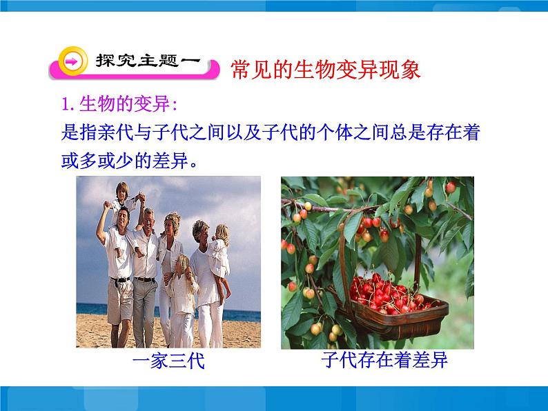 苏教版八年级下册生物  22.5生物的变异 课件04