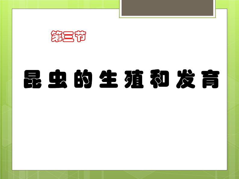 苏教版八年级下册生物  21.3昆虫的生殖与发育 课件第1页