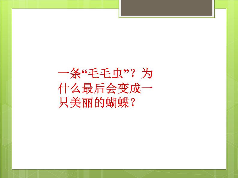 苏教版八年级下册生物  21.3昆虫的生殖与发育 课件第4页