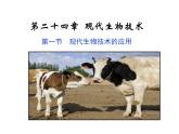 苏教版八年级下册生物  24.1现代生物技术的应用 课件