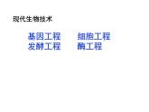 苏教版八年级下册生物  24.1现代生物技术的应用 课件