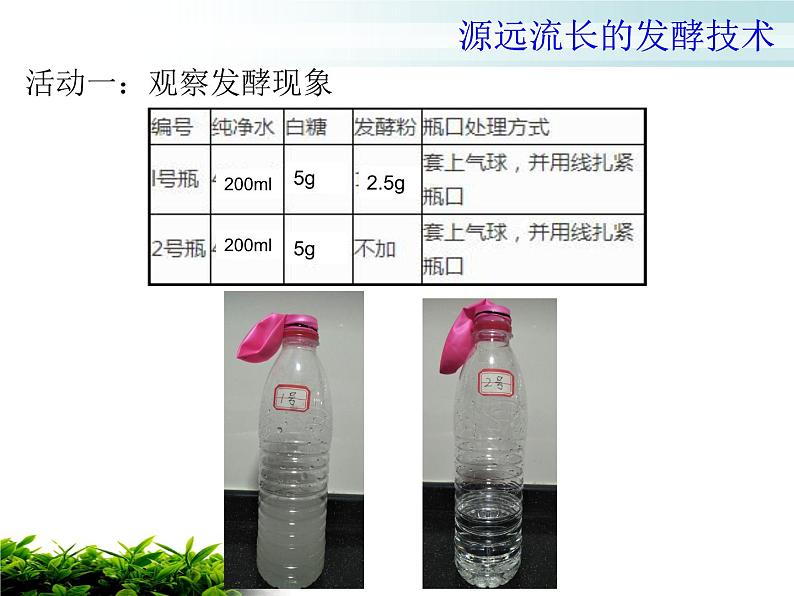 苏教版八年级下册生物  23.1源远流长的发酵技术 课件第3页