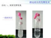 苏教版八年级下册生物  23.1源远流长的发酵技术 课件