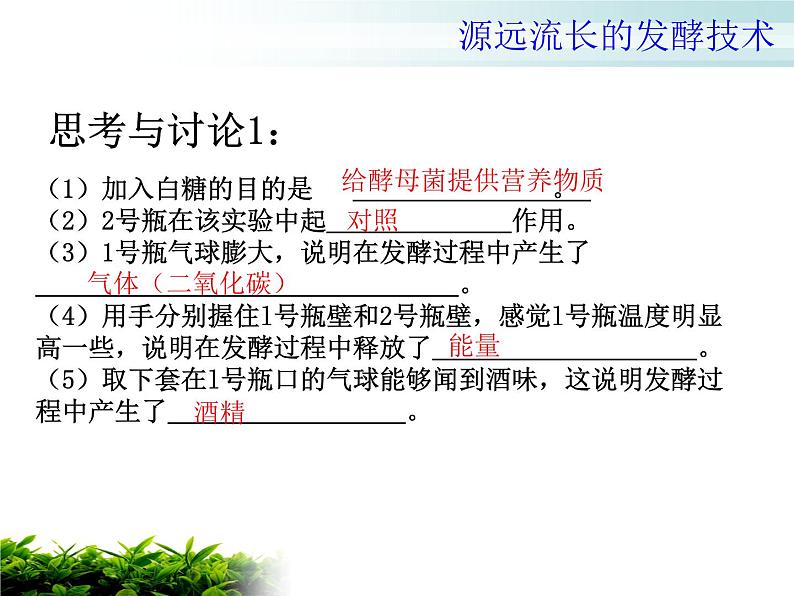 苏教版八年级下册生物  23.1源远流长的发酵技术 课件第5页