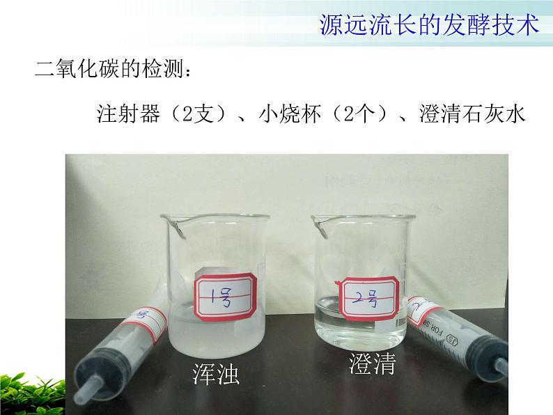 苏教版八年级下册生物  23.1源远流长的发酵技术 课件第6页