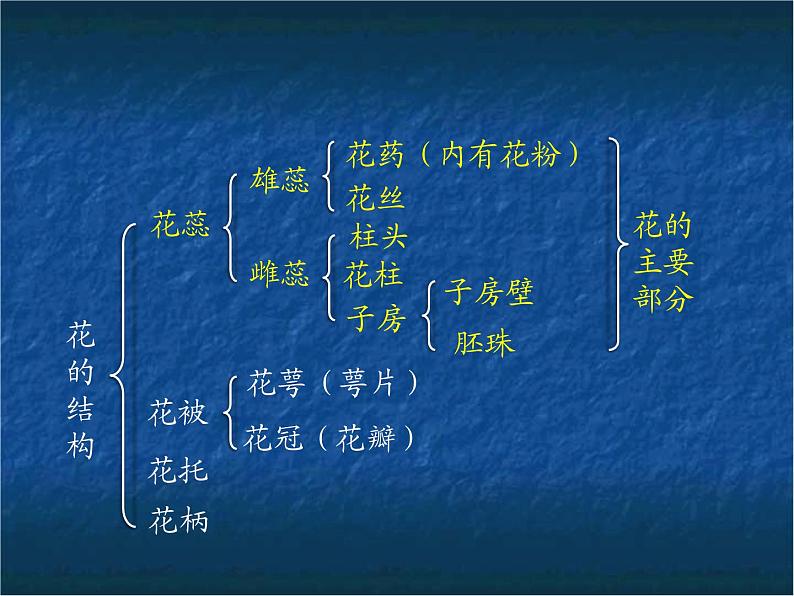 苏教版八年级下册生物  21.2植物的有性生殖 课件第6页