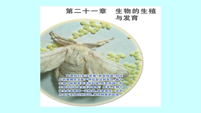 苏教版八年级下册生物  21.1生物的无性生殖 课件01