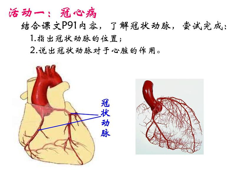 苏教版八年级下册生物  25.2威胁健康的主要疾病 课件第6页